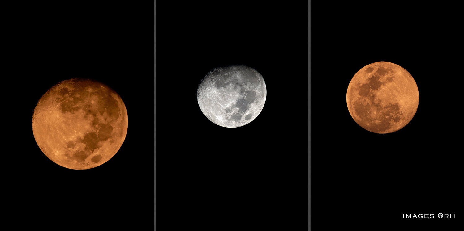 lunar moon snaps by Rick Hemi