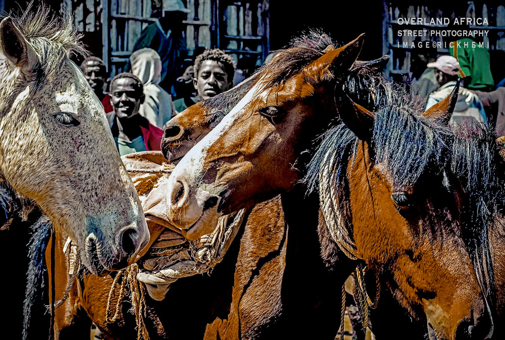 solo overland travel Africa, pack horses, image by Rick Hemi