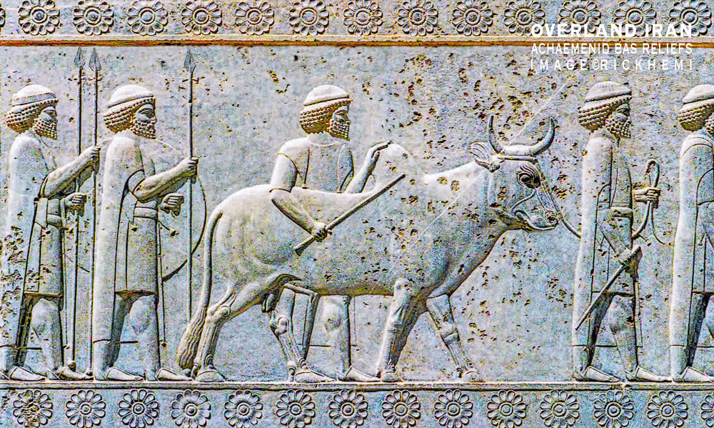 solo overland travel Iran, bas-relief Persepolis, image by Rick Hemi