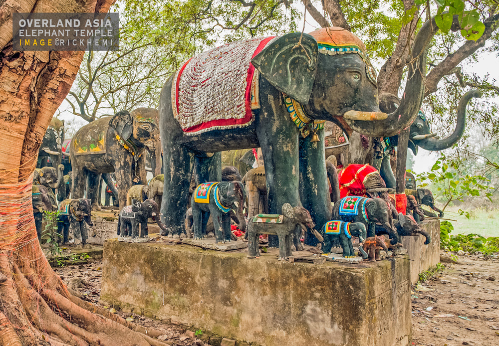 solo travel Asia, elephant temple, DSLR image by Rick Hemi