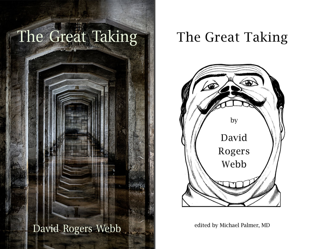 The Great Taking, David Rodger Webb
