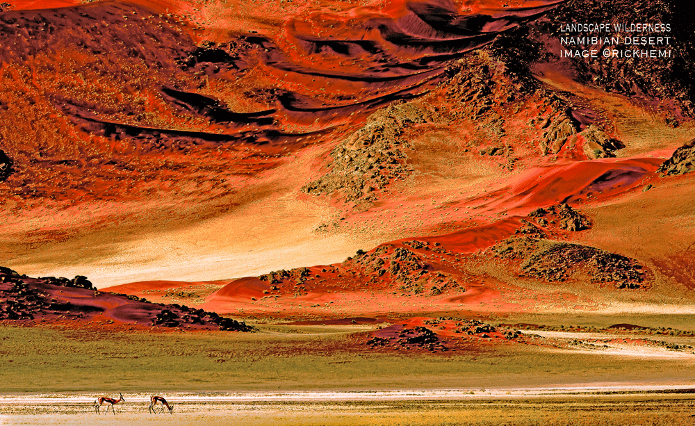 about page Rick Hemi, landscape red desert wilderness image by Rick Hemi