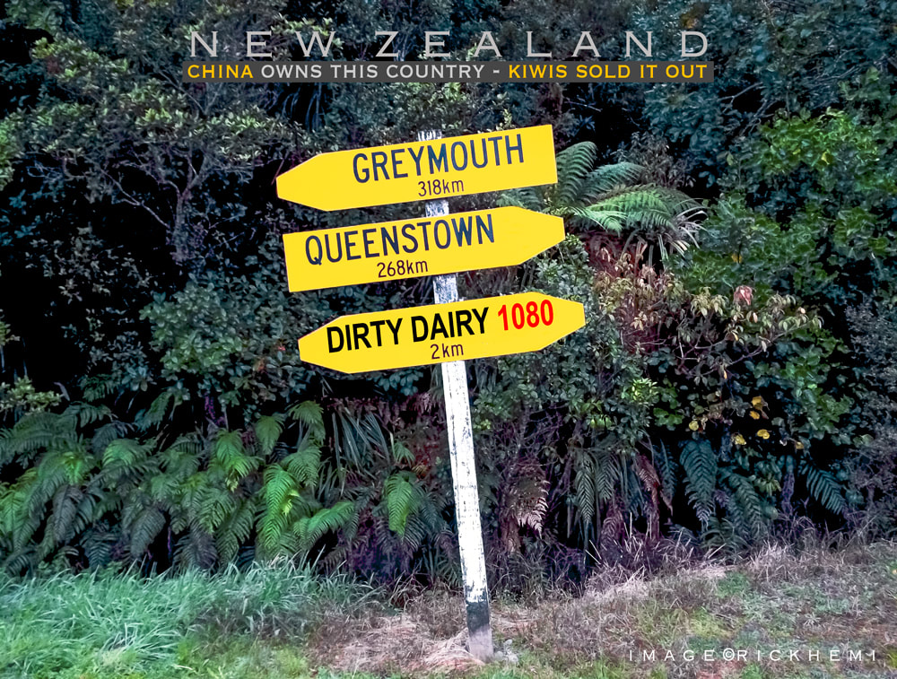 solo overland road trip New Zealand, clean green New Zealand sold out for greed years ago, image by Rick Hemi