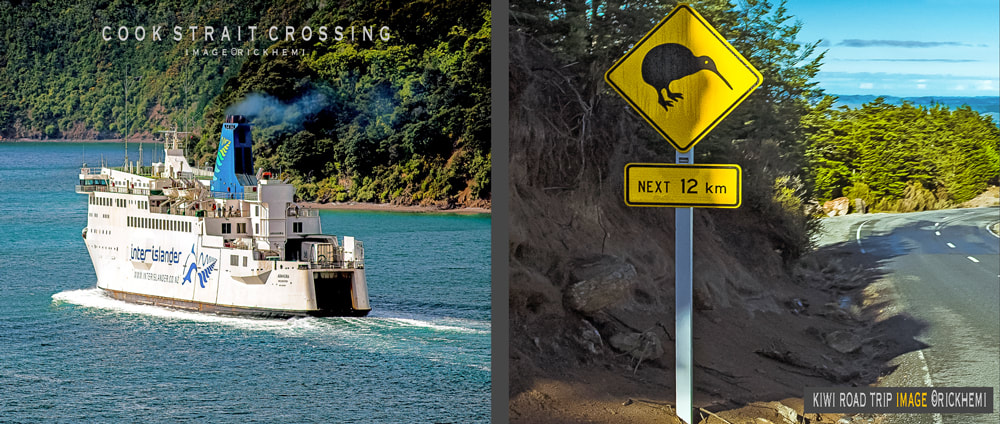 kiwi overland road trip self-driving, images by Rick Hemi