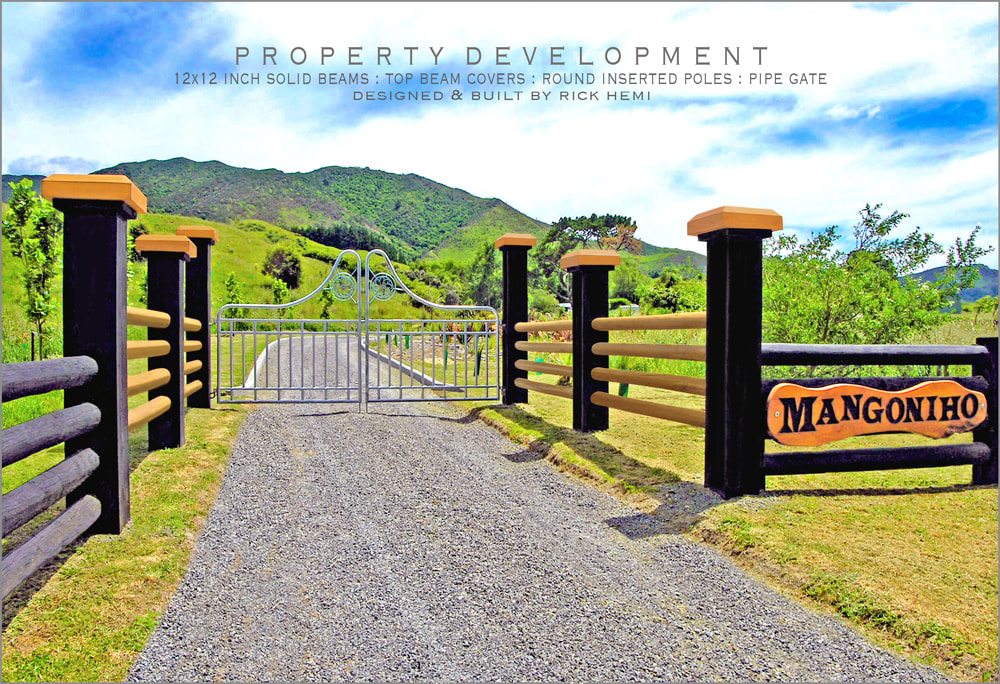 Who's Rick Hemi - Property Development 