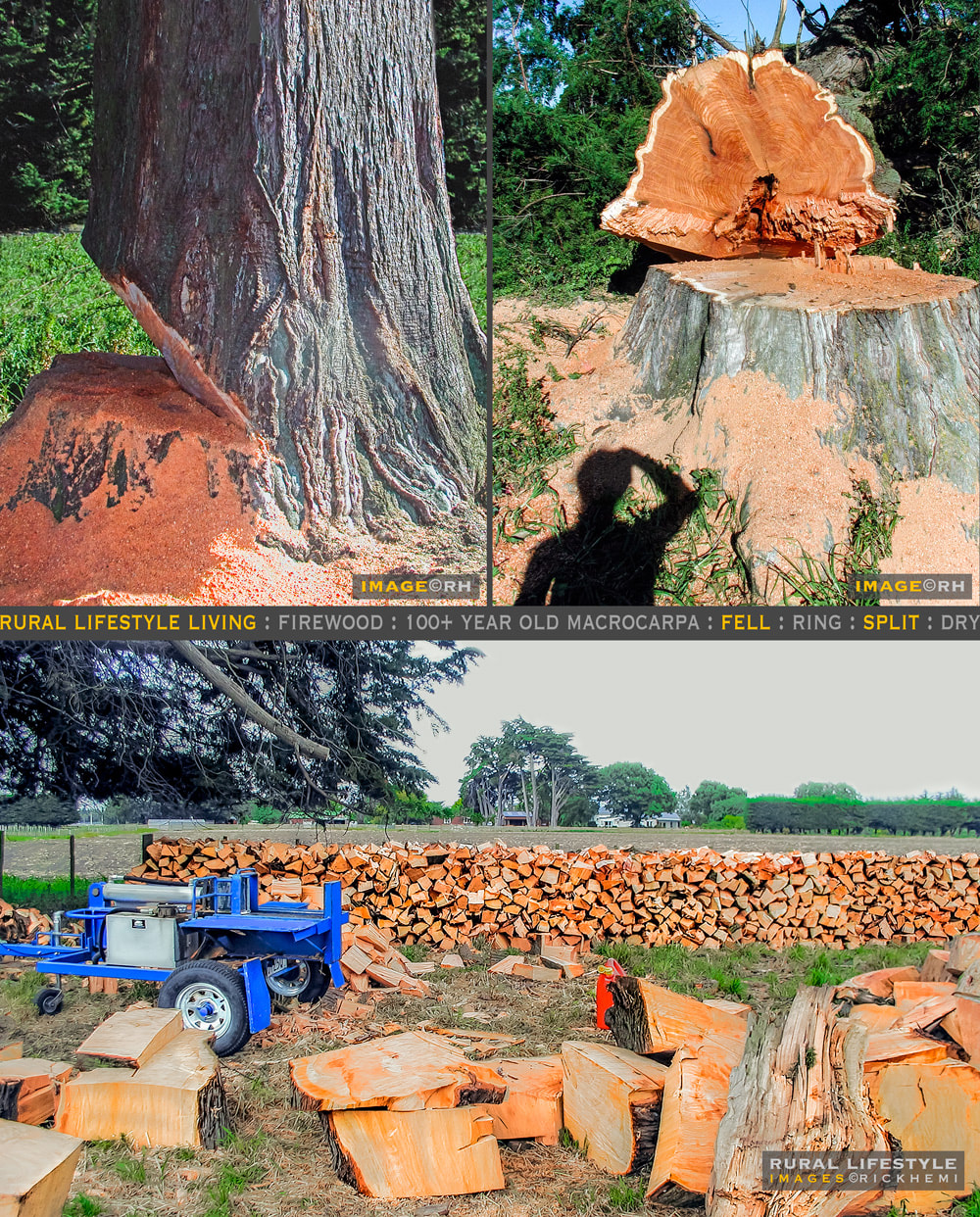 rural lifestyle living, firewood supply, images by Rick Hemi, about page Rick Hemi