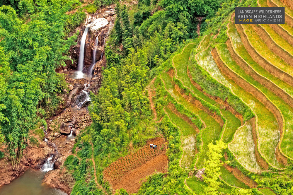 about page Rick Hemi, waterfall highlands rice terraces, image by rick hemi