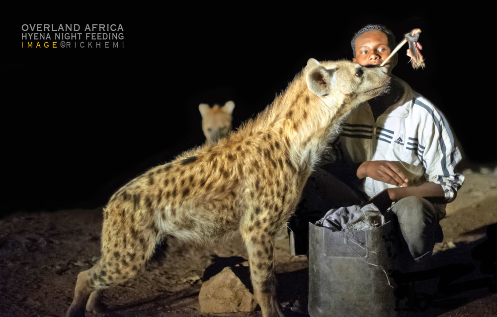 travel and transit Africa, solo travel Africa, hyena night feeding image by Rick Hemi