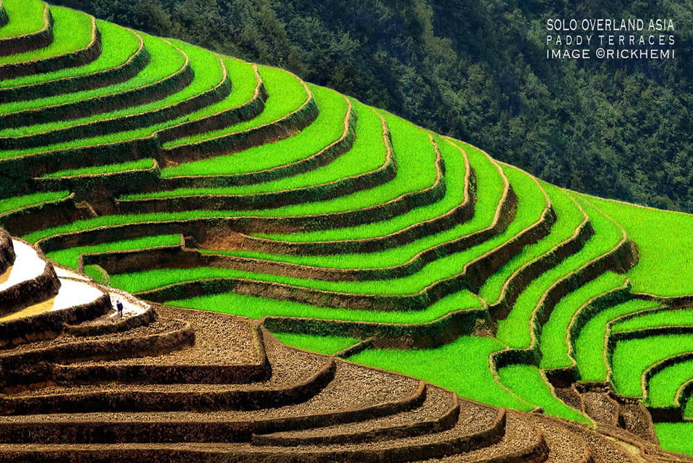 Asia solo overland travel, rice terraces, image by Rick Hemi