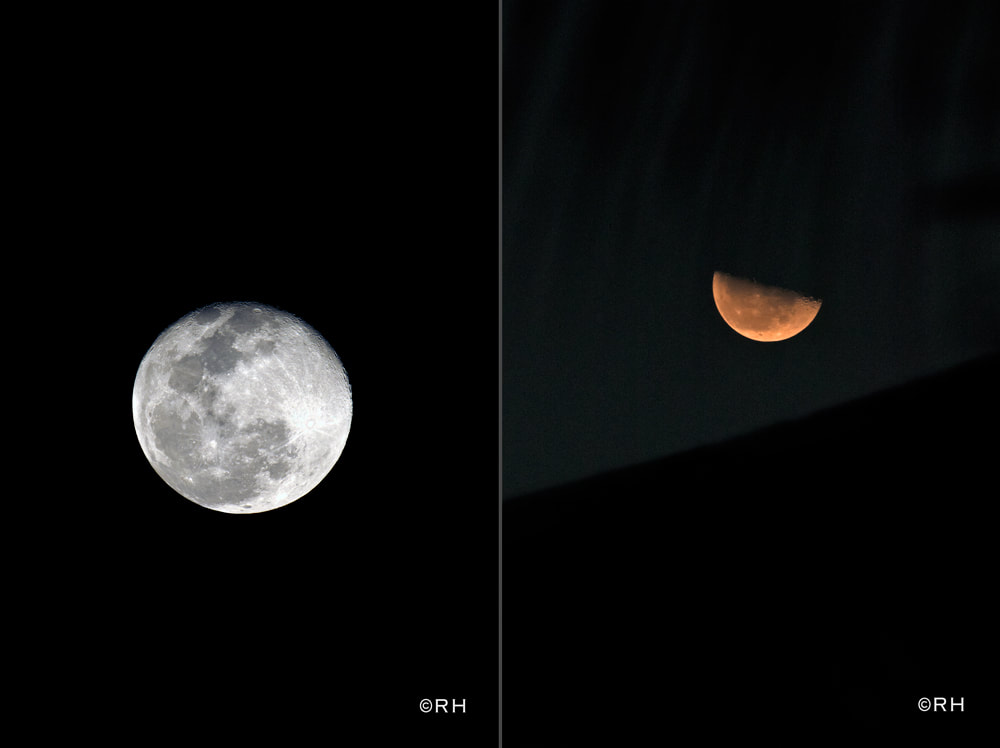random lunar snaps by Rick Hemi