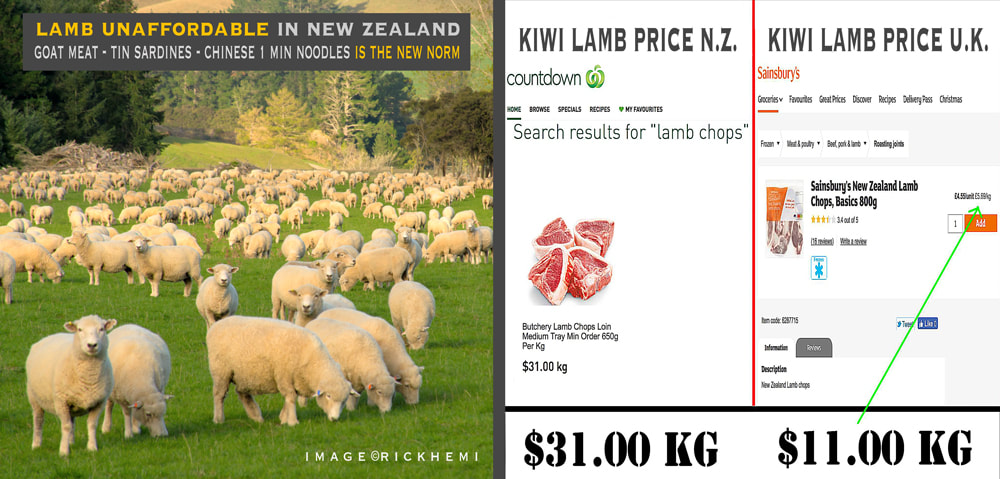 Kiwi New Zealand lamb, the great deception of food costs in New Zealand, image by Rick Hemi