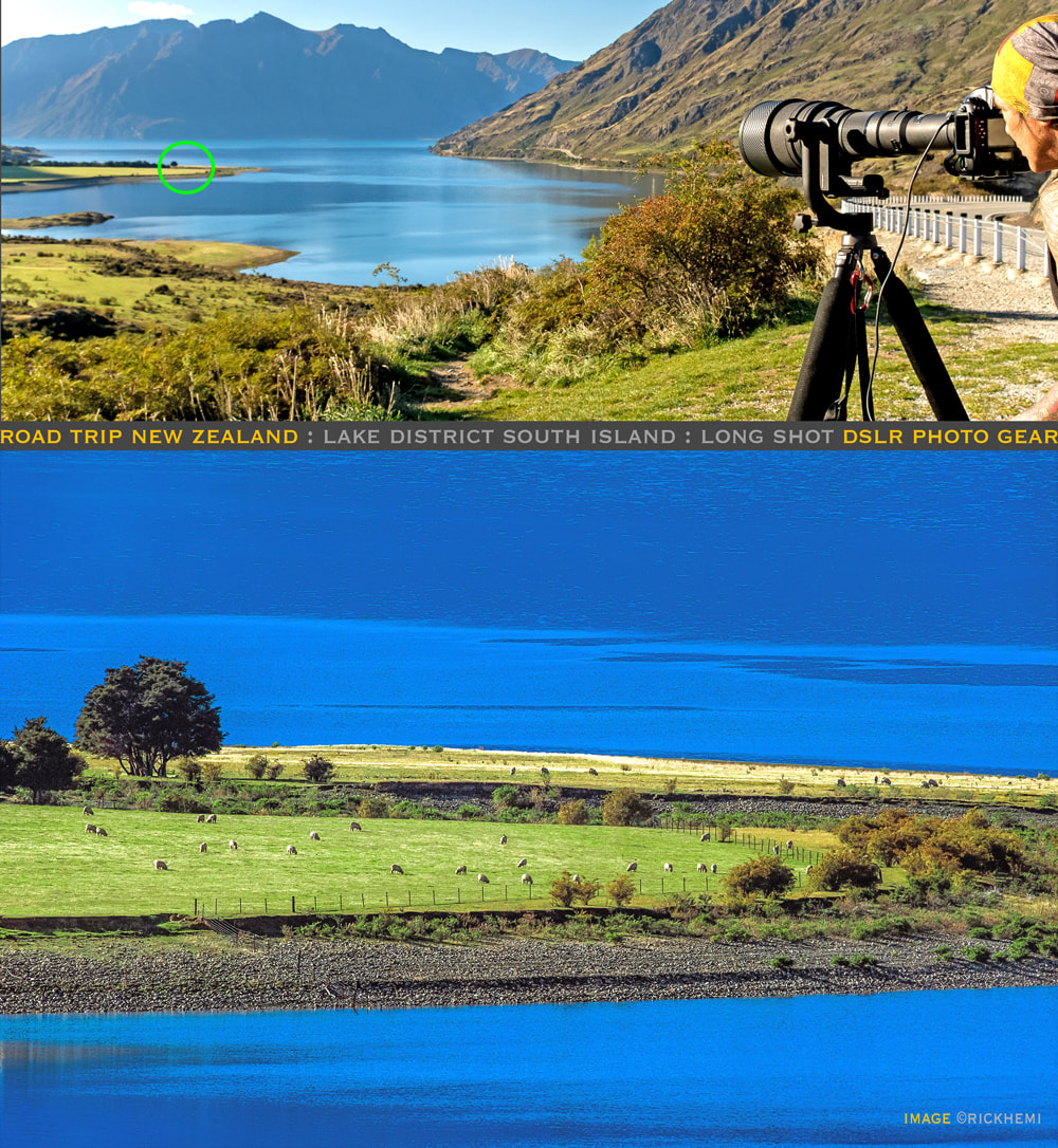 road trip New Zealand, self-driving road trip New Zealand, image by Rick Hemi