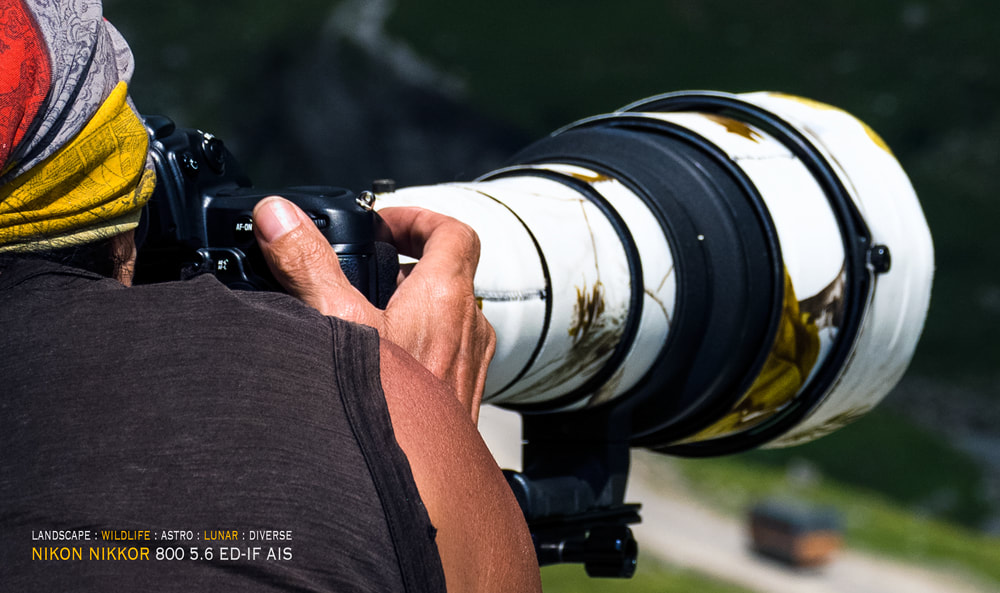 Nikon Nikkor 800mm f/5.6 ED-IF AIS lens in the 2020s
