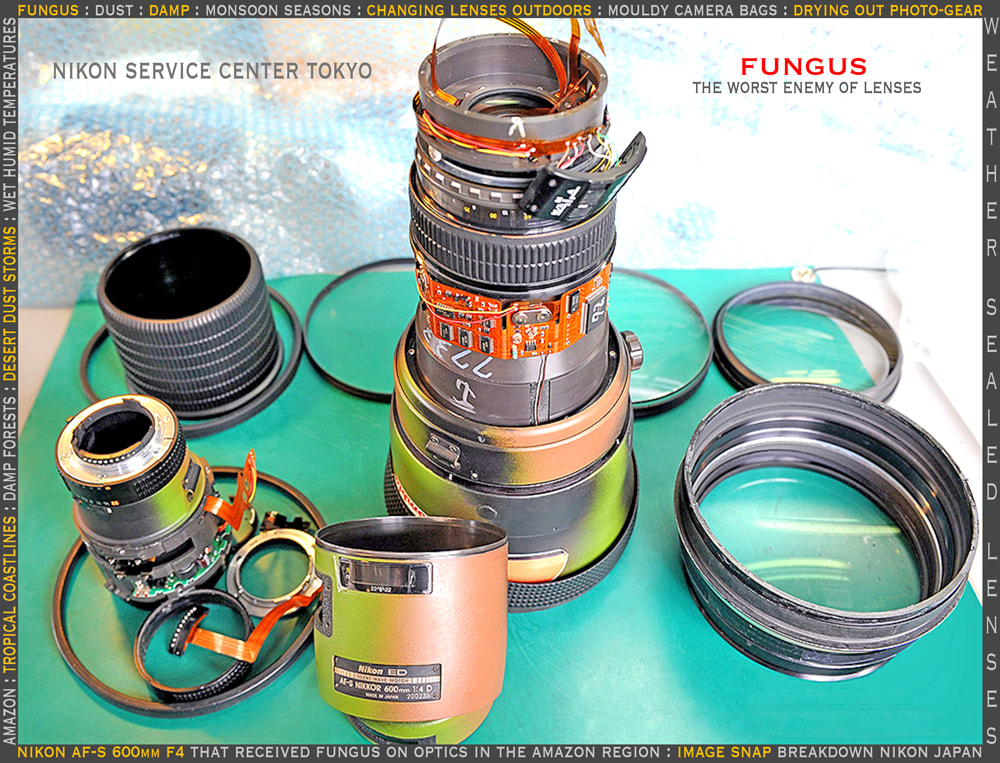 solo overland travel photo gear, fungus in weather sealed lenses, tropical coastlines, Amazon, humid temperatures, damp environments, dust inside camera lenses, image requested by Rick Hemi Nikon Tokyo service centre