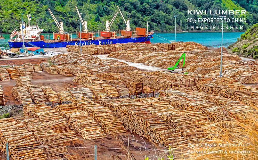 solo travel New Zealand, timber export production offshore, image by Rick Hemi