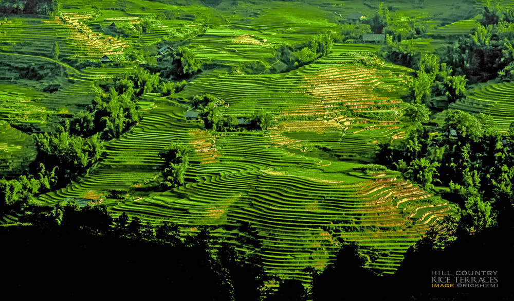 overland travel south east Asia, hill country rice terraces, image by Rick Hemi