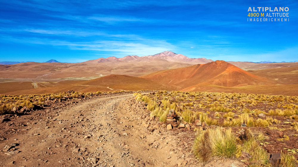overland travel South America, Bolivian Altiplano landscape image by Rick Hemi