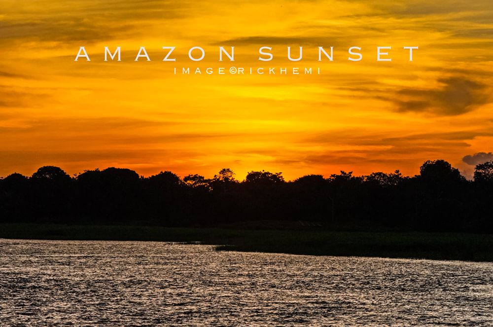 overland travel South America, Amazon sunset silhouette, image by Rick Hemi