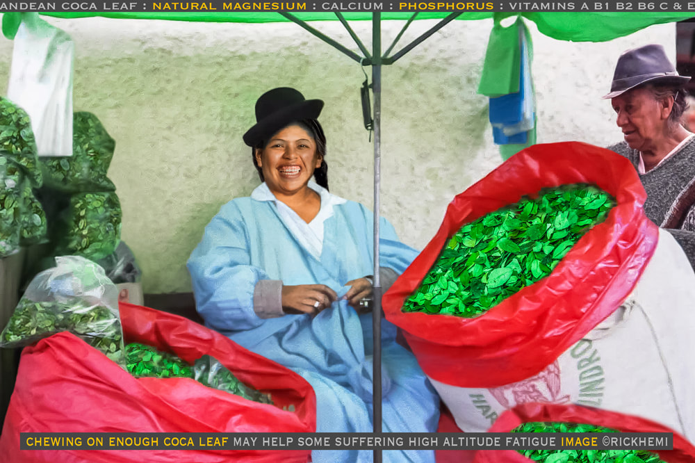 overland travel South America, coca leaf market image by Rick Hemi