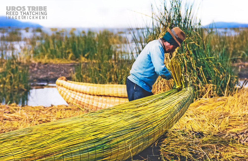 overland travel South America, reed thatching, Uros tribe, lago titicaca, image by Rick Hemi
