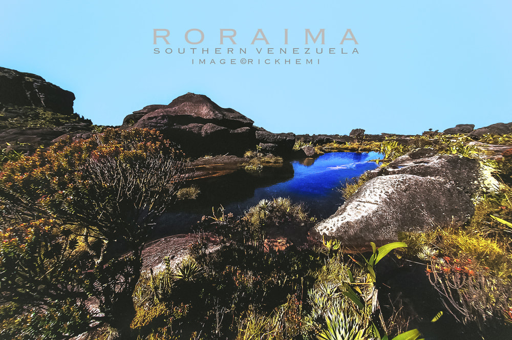 Mount Roraima Natural Endemic plants-Guyana-Venezuela-Brazil tri borders