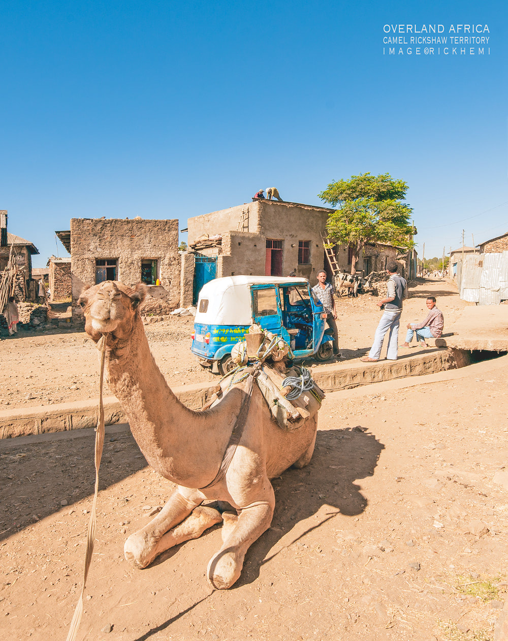 solo overland travel and transit offshore, camels and rickshaws, image by Rick Hemi