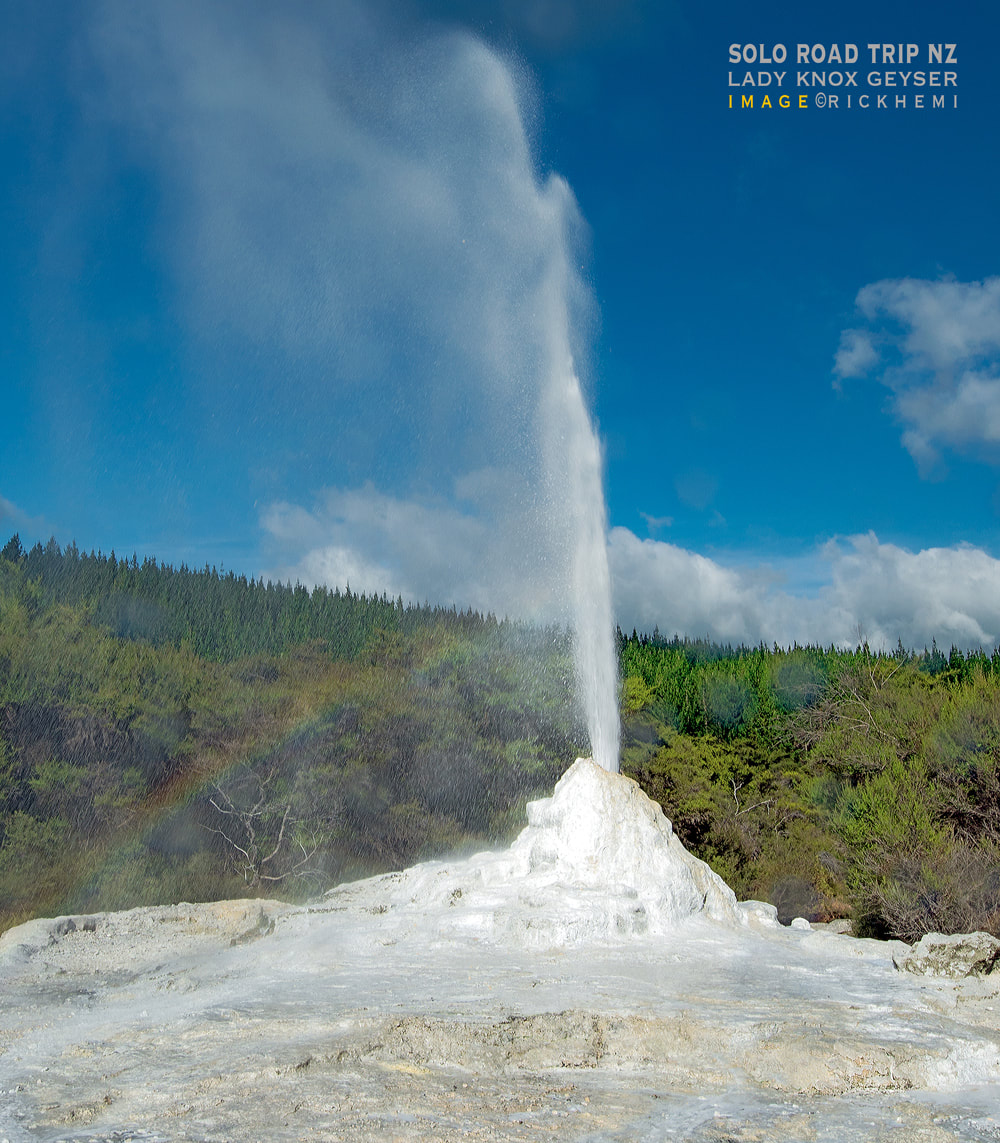 solo road trip New Zealand, lady knox geyser, image by Rick Hemi
