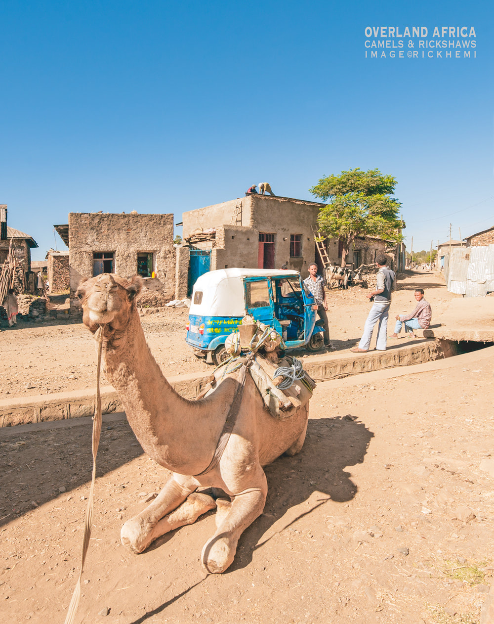 solo overland travel and transit offshore, camels and rickshaws, image by Rick Hemi