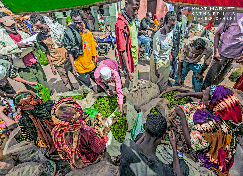 overland travel Africa, Khat market image by Rick Hemi