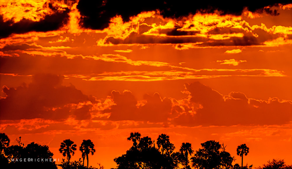 on the go overland Africa, savannah sky image by Rick Hemi