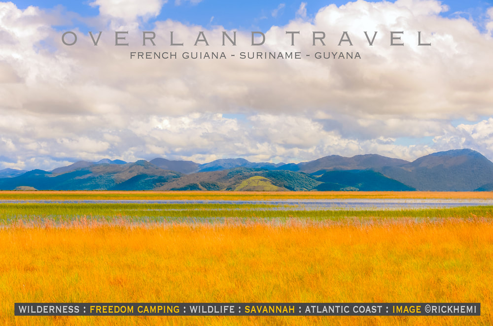 solo-overland-travel-and-transit South America, French Guiana, Surinam, Guyana, wildlife, flora and fauna, fishing, hiking, free camping, image by Rick Hemi