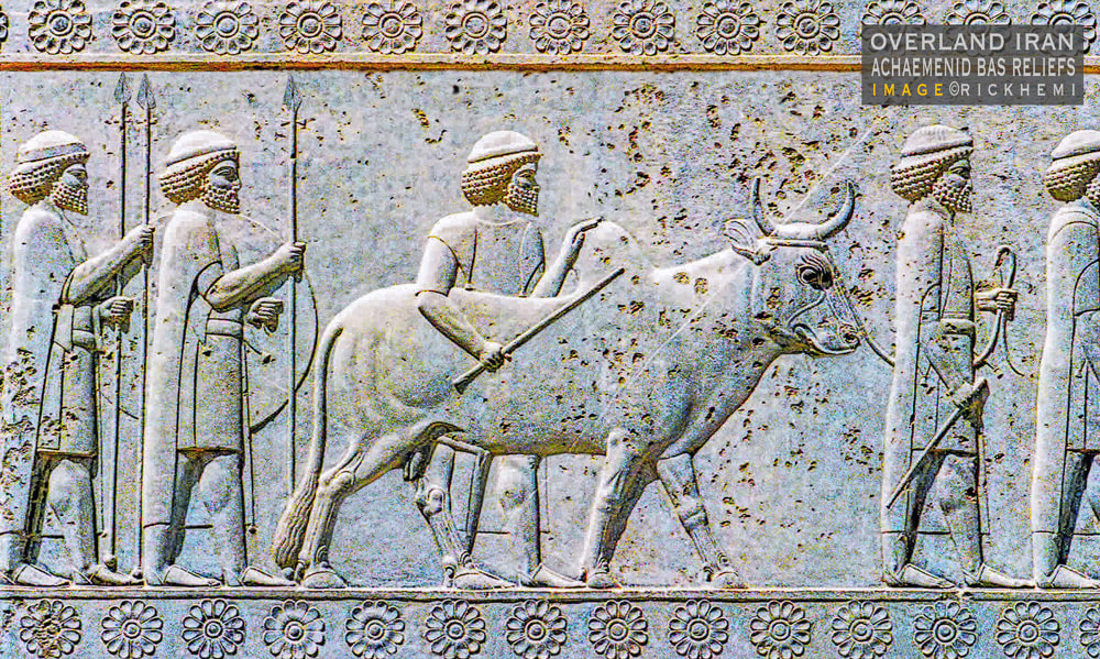 solo overland travel Iran, bas-relief Persepolis, image by Rick Hemi