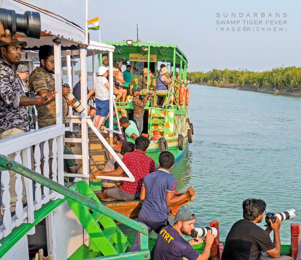 solo overland travel India, Sundarban swamp tiger fever, behind the scenes location image by Rick Hemi