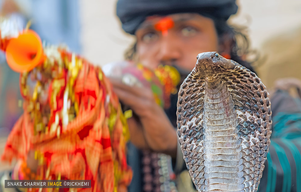 solo overland travel India, snake charmer India, image by Rick Hemi