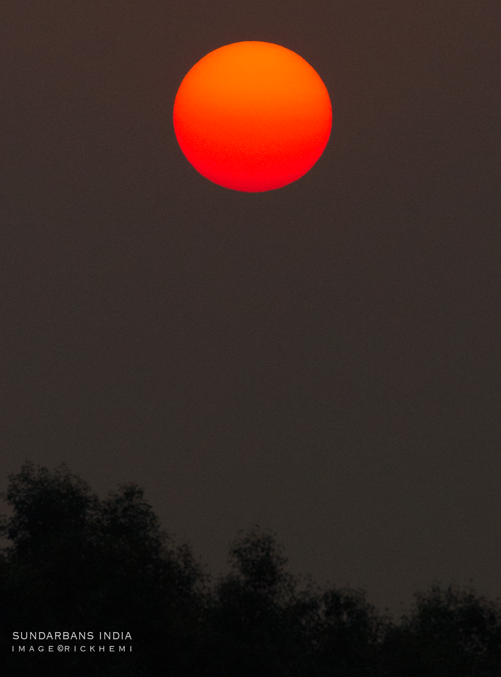 solo overland travel India, Sundarban sunrise, DSLR image by Rick Hemi 