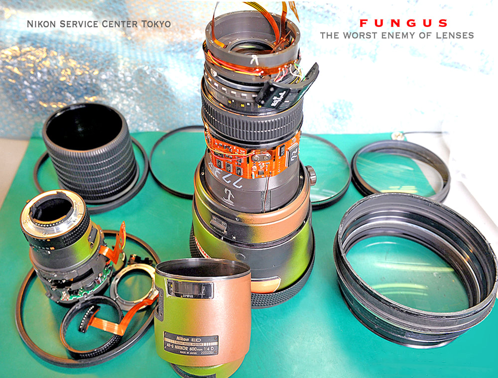 solo overland travel offshore, camera photo gear stuff, fungus in weather sealed lenses, tropical coastlines, Amazon, humid temperatures, damp environments, dust inside camera lenses, image by Nikon Tokyo service center