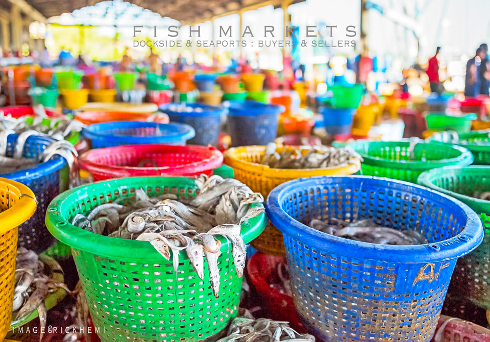 solo travel street photography, fish markets, Africa-Asia-the Middle East, South America, image by Rick Hemi
