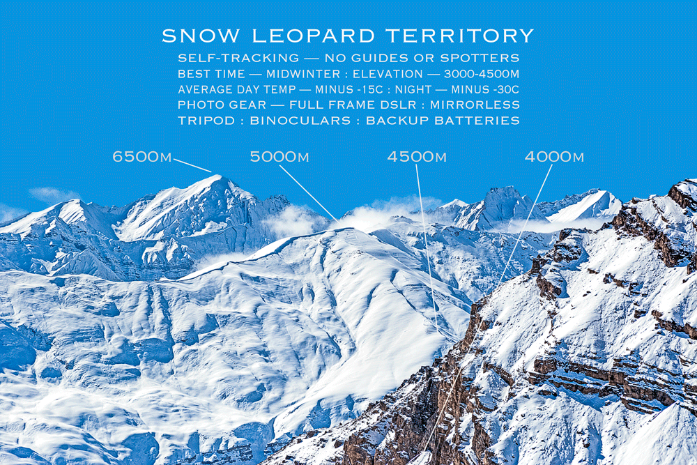 solo overland travel, snow leopard territory, midwinter Himalaya, DSLR image by Rick Hemi