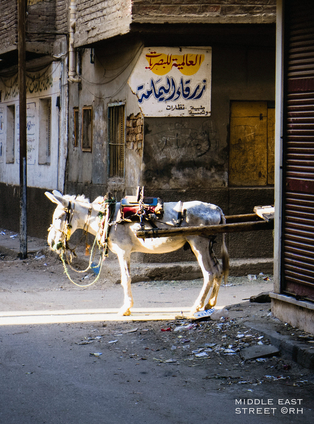solo overland travel middle east, street snap by Rick Hemi