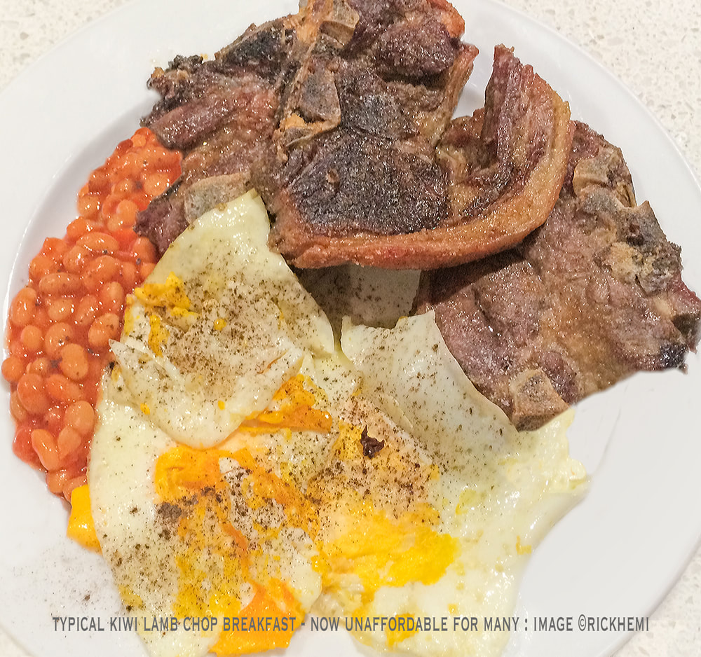solo road trip New Zealand, kiwi lamb chop breakfast, image by Rick Hemi